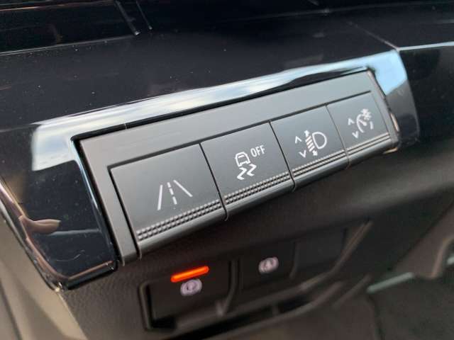 Fahrzeugbild eines Renault Austral