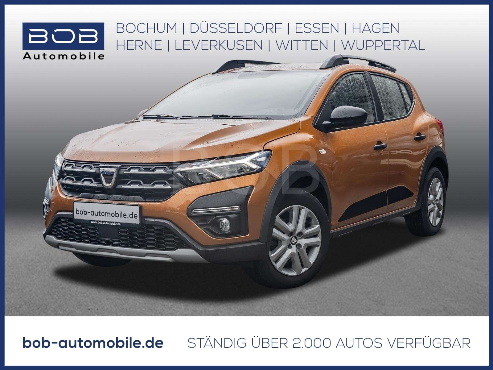 Fahrzeugbild eines Dacia Sandero