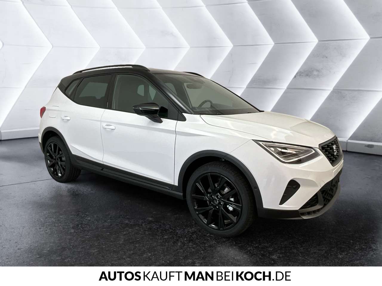 Fahrzeugbild eines SEAT Arona