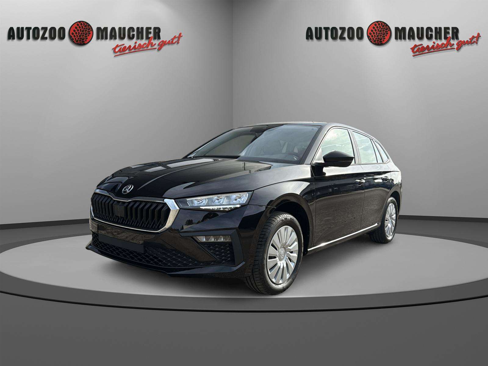 Fahrzeugbild eines Skoda Scala