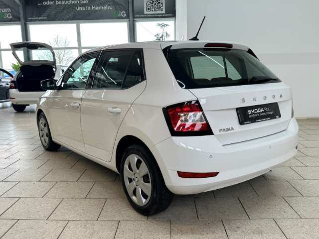Fahrzeugbild eines Skoda Fabia