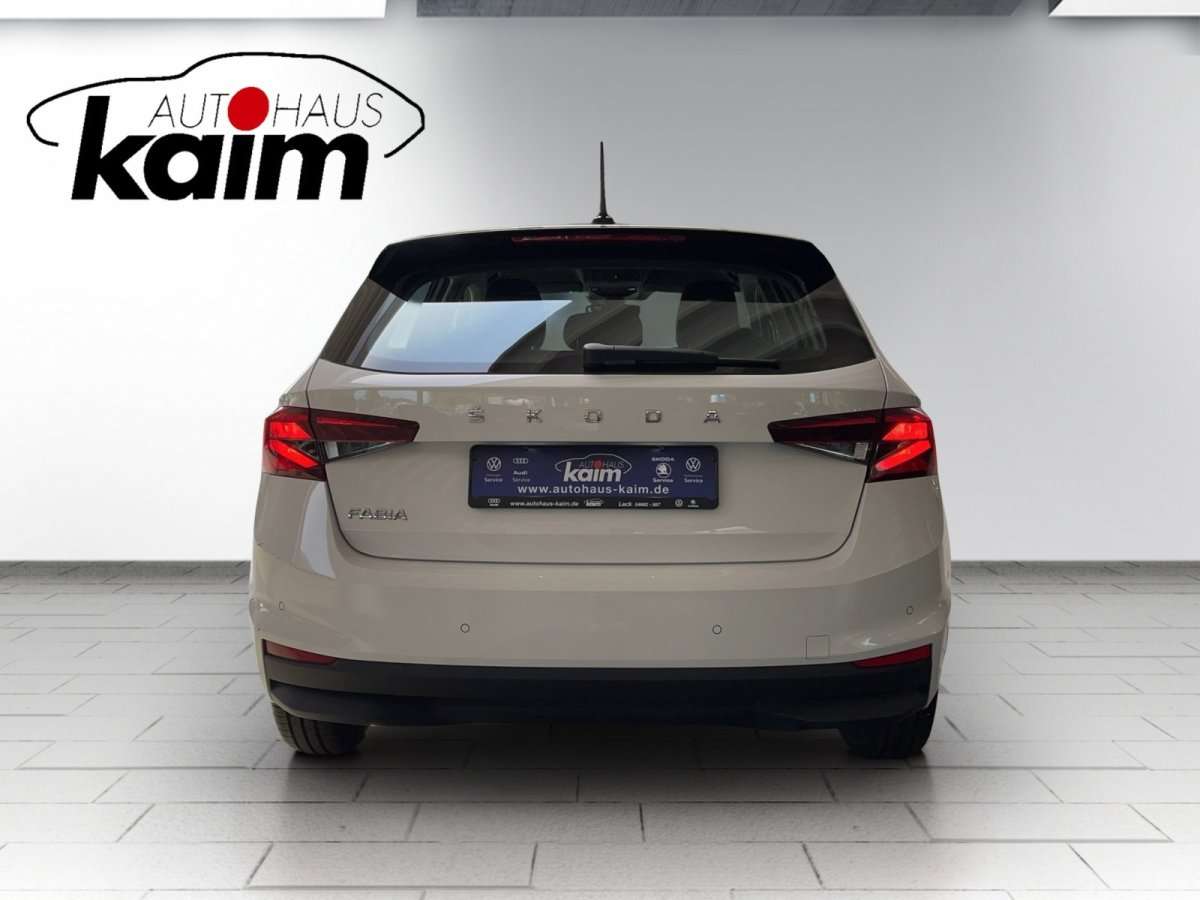 Fahrzeugbild eines Skoda Fabia