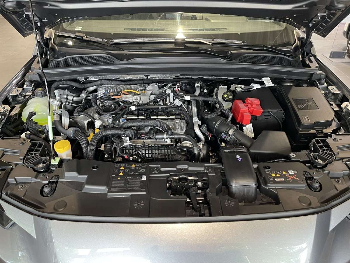 Fahrzeugbild eines Renault Clio