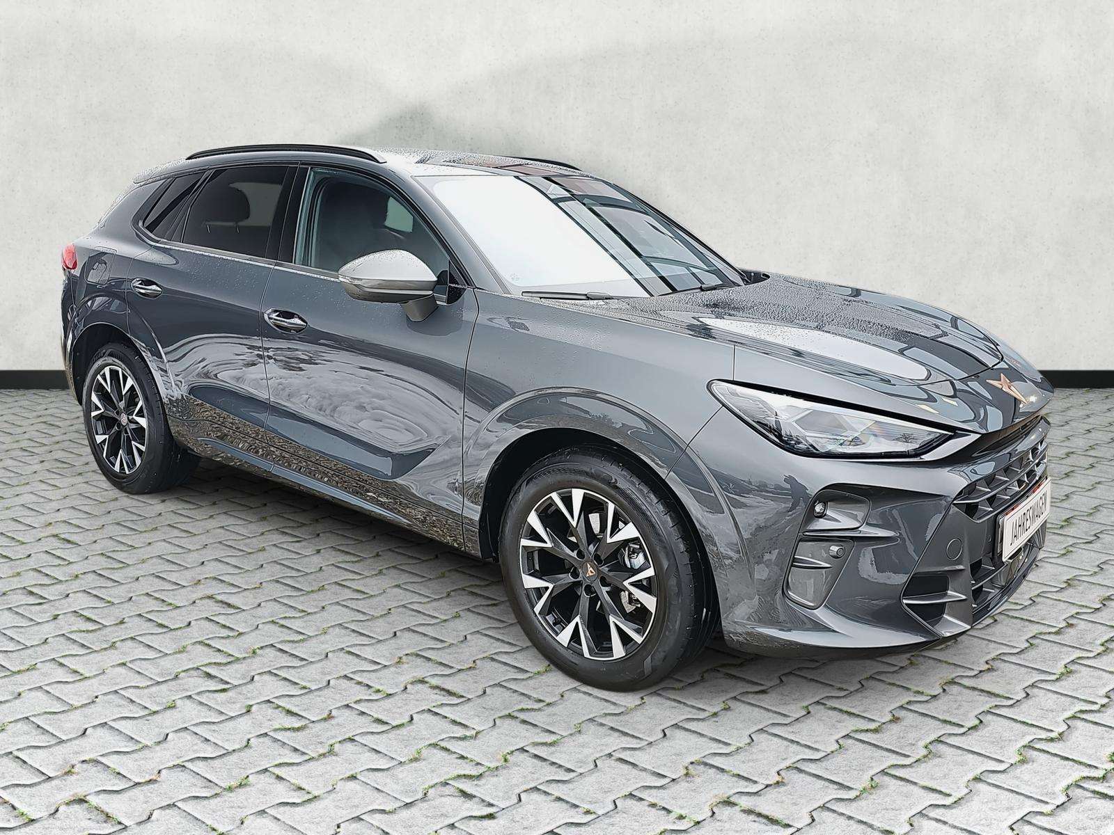 Fahrzeugbild eines CUPRA Terramar