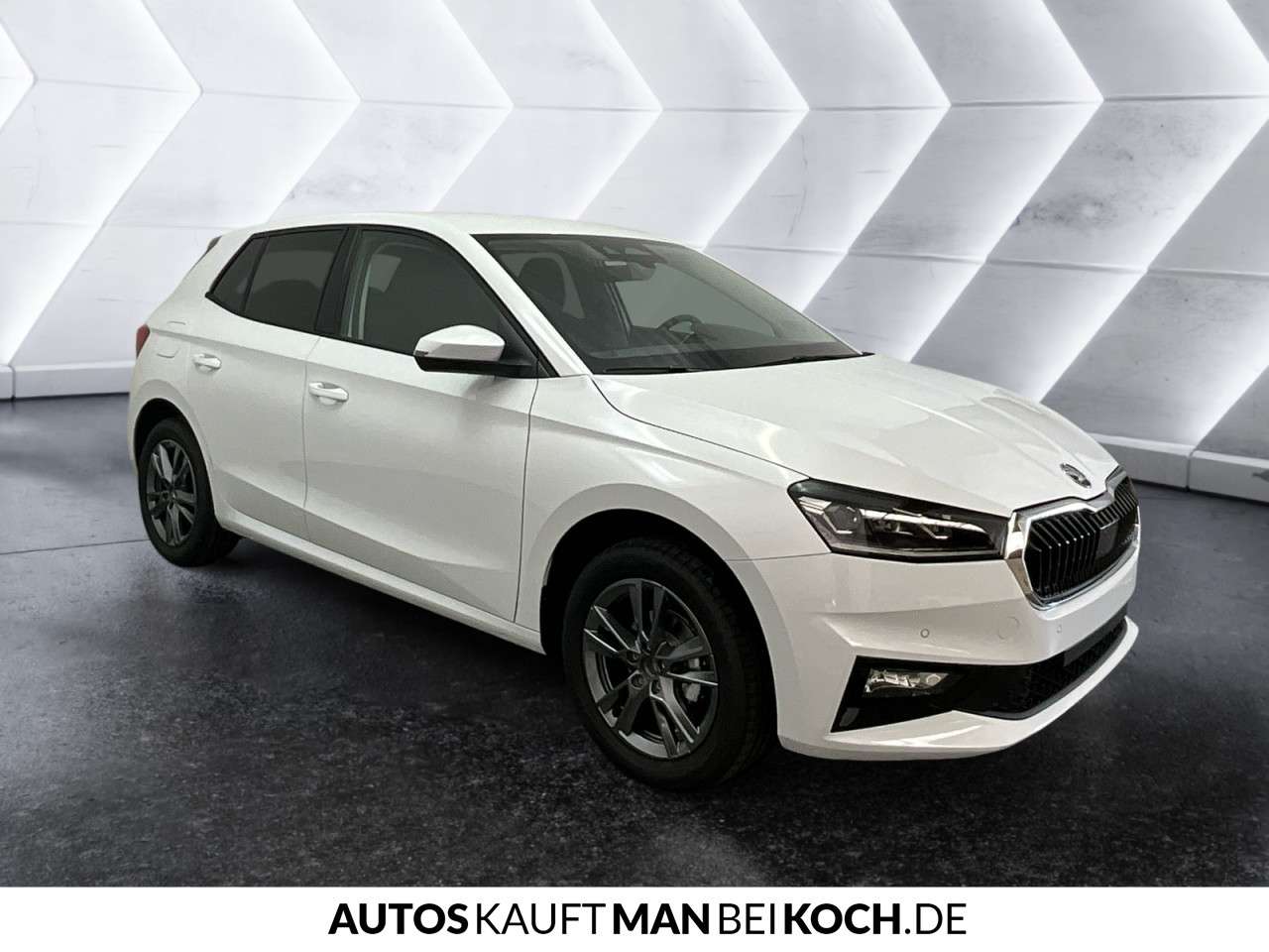 Fahrzeugbild eines Skoda Fabia