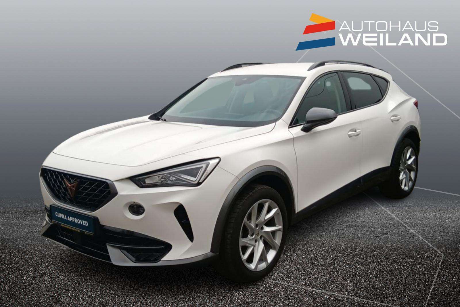 Fahrzeugbild eines CUPRA Formentor
