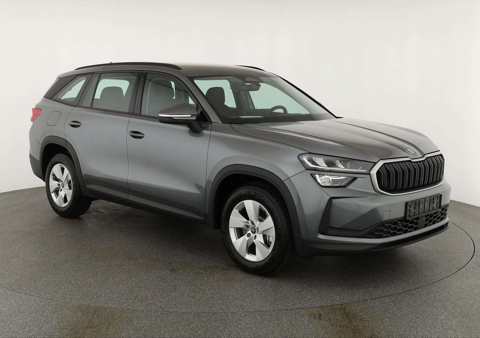 Fahrzeugbild eines Skoda Kodiaq