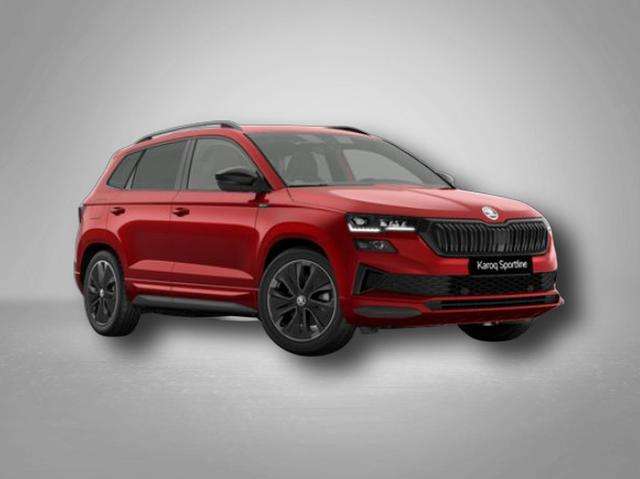 Fahrzeugbild eines Skoda Karoq