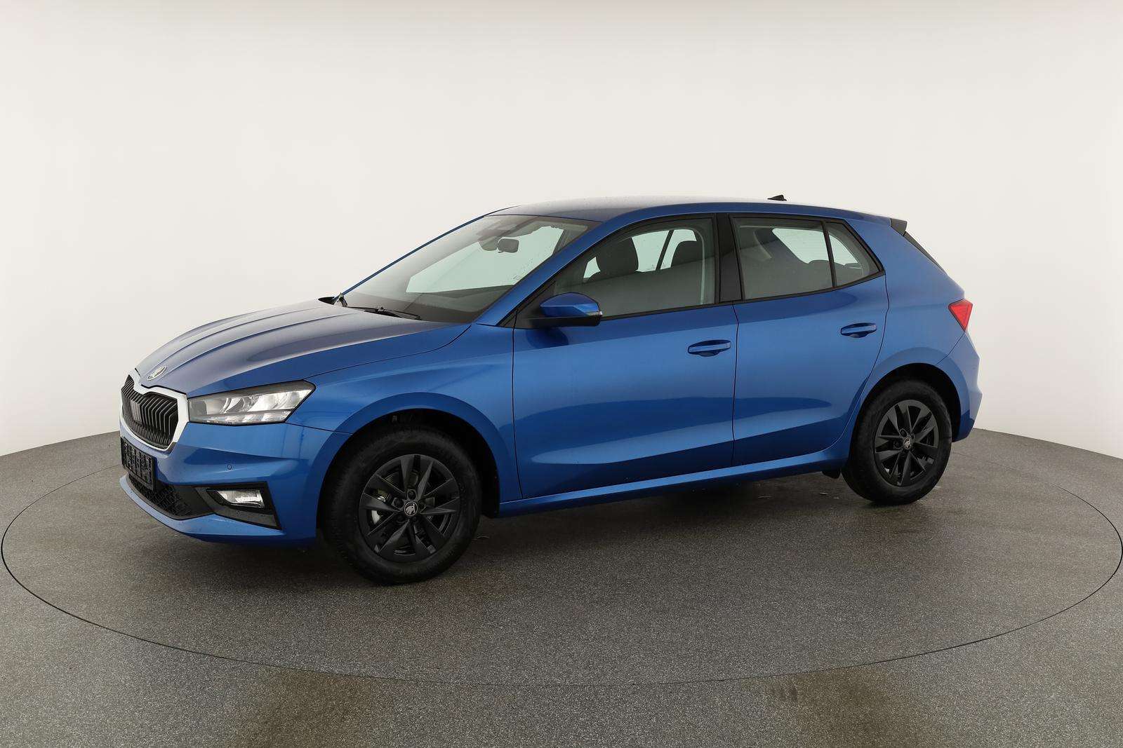 Fahrzeugbild eines Skoda Fabia