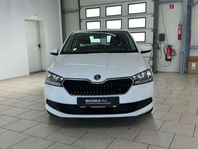 Fahrzeugbild eines Skoda Fabia
