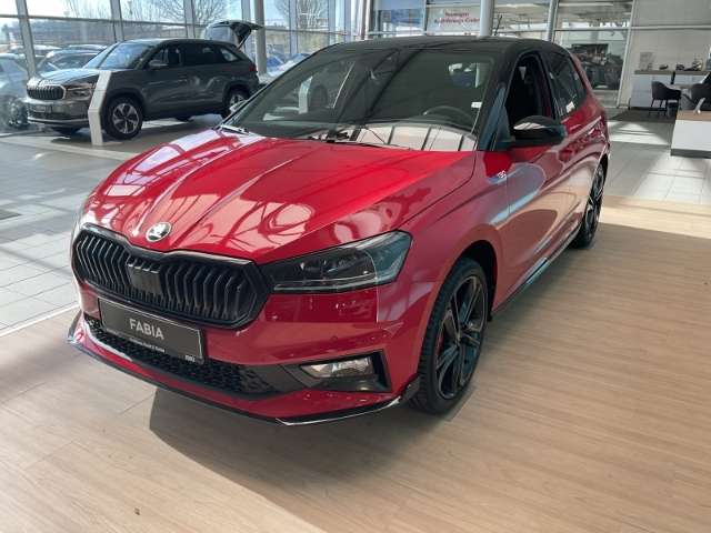 Fahrzeugbild eines Skoda Fabia