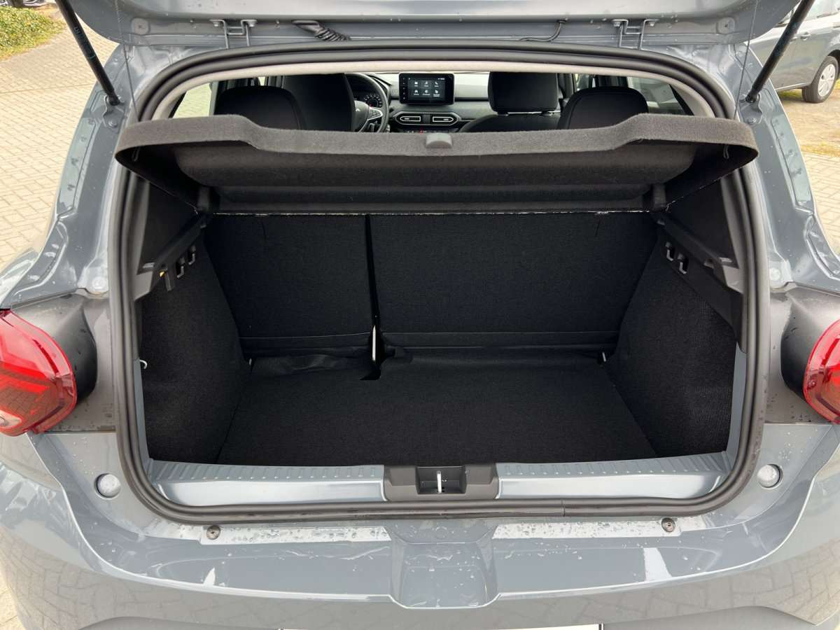 Fahrzeugbild eines Dacia Sandero