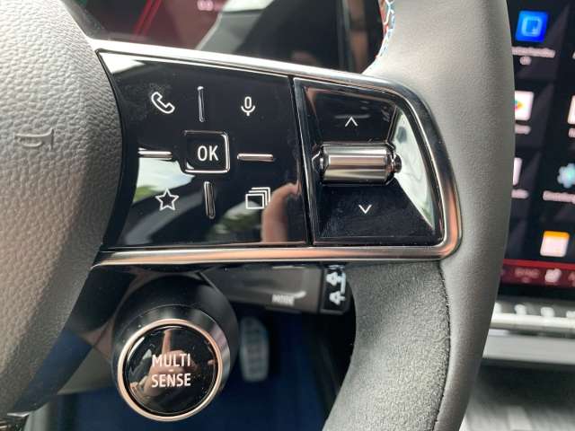 Fahrzeugbild eines Renault Scénic