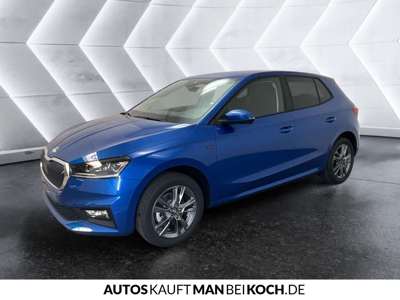 Fahrzeugbild eines Skoda Fabia