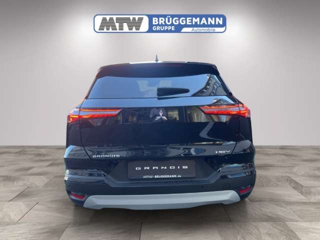 Fahrzeugbild eines Mitsubishi Grandis