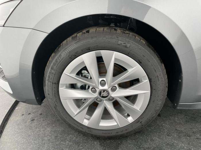 Fahrzeugbild eines Skoda Octavia