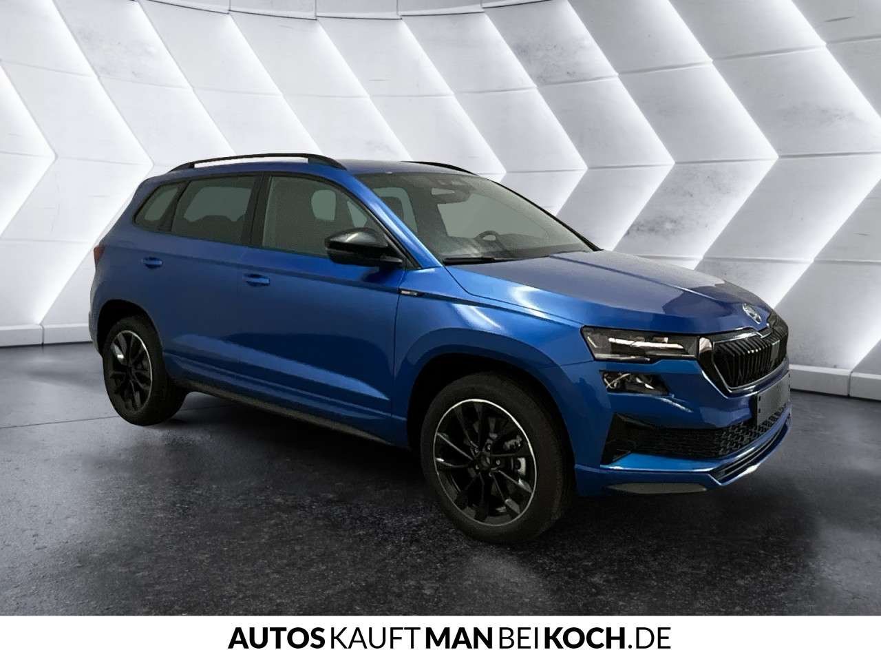 Fahrzeugbild eines Skoda Karoq
