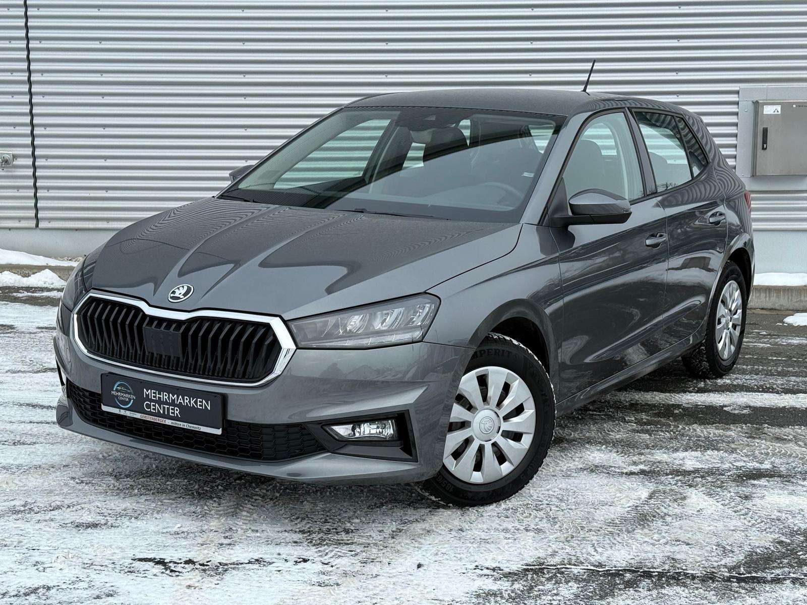 Fahrzeugbild eines Skoda Fabia