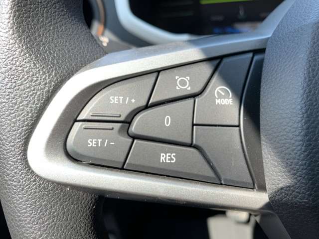 Fahrzeugbild eines Dacia Spring