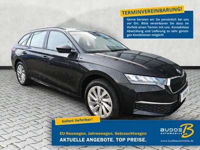 Bild Skoda Octavia