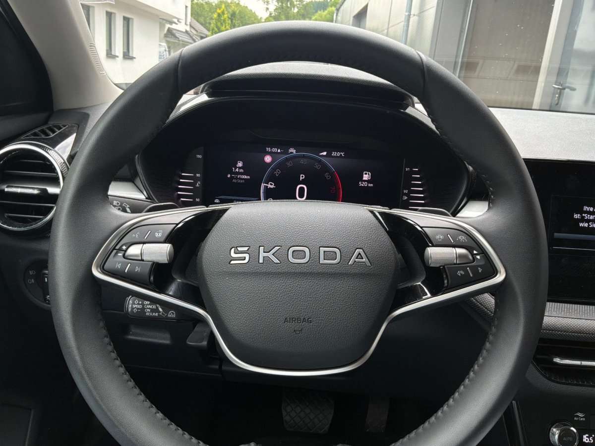 Fahrzeugbild eines Skoda Fabia