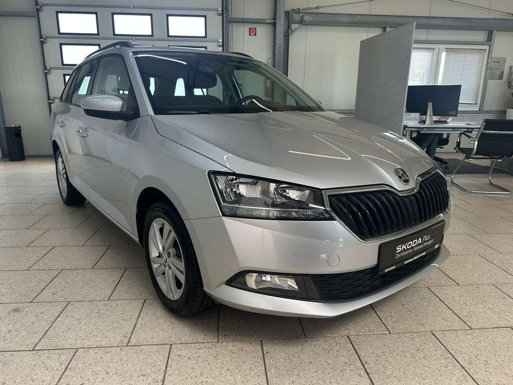 Fahrzeugbild eines Skoda Fabia