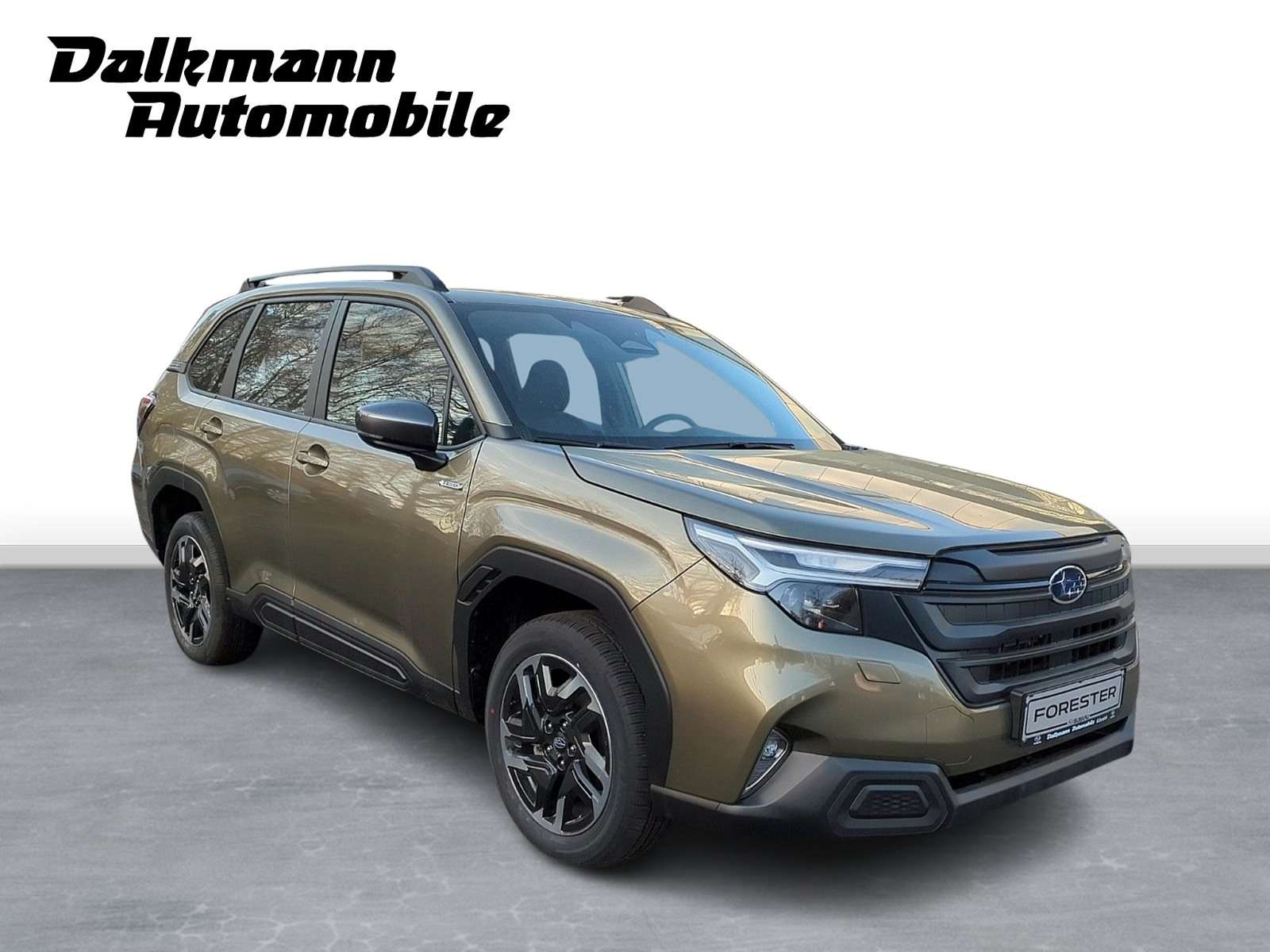Fahrzeugbild eines Subaru Forester