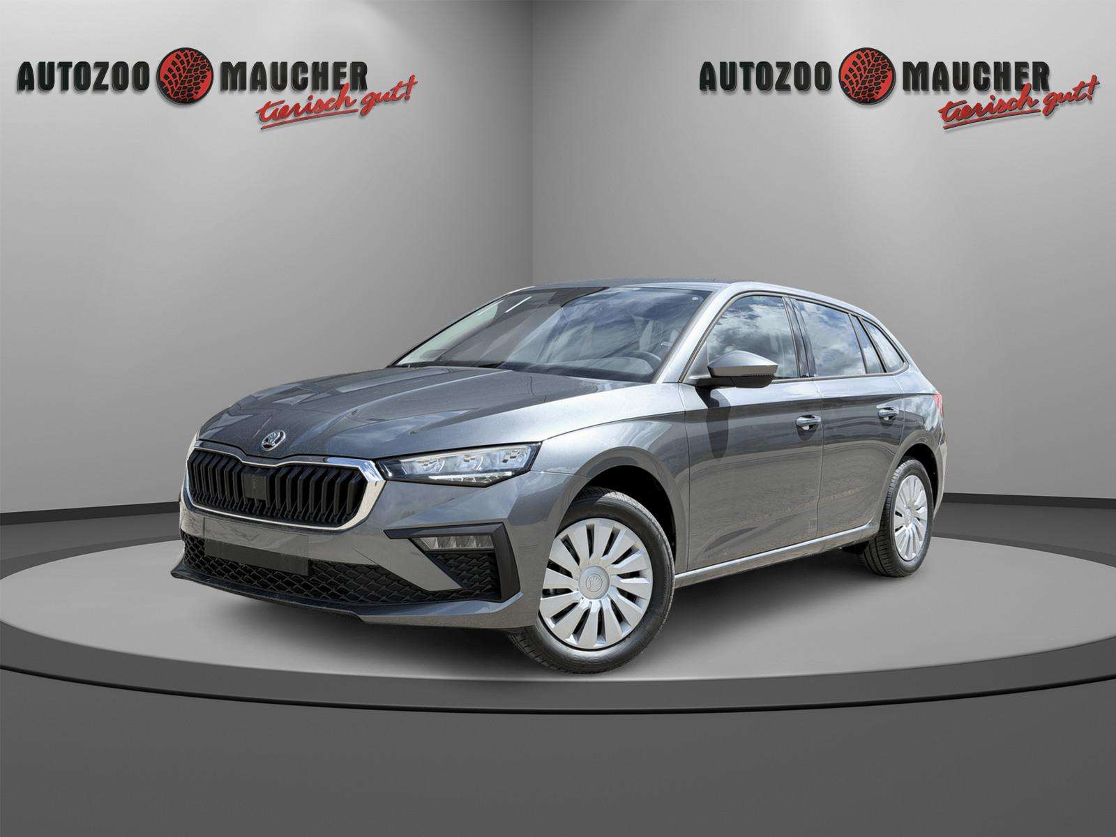 Fahrzeugbild eines Skoda Scala