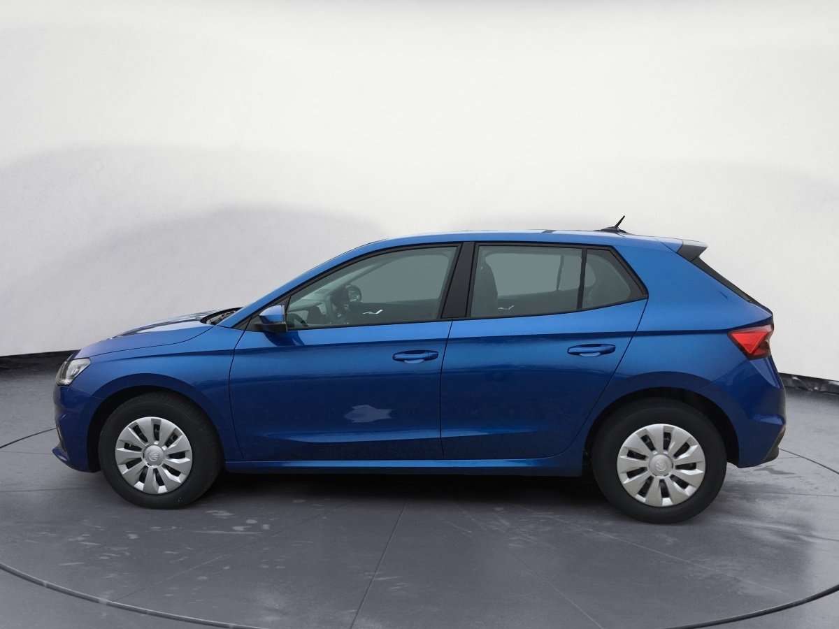 Fahrzeugbild eines Skoda Fabia