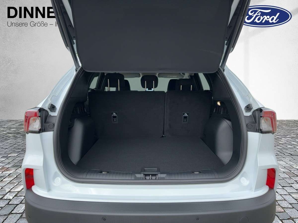 Fahrzeugbild eines Ford Kuga