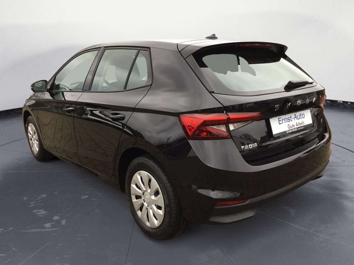 Fahrzeugbild eines Skoda Fabia