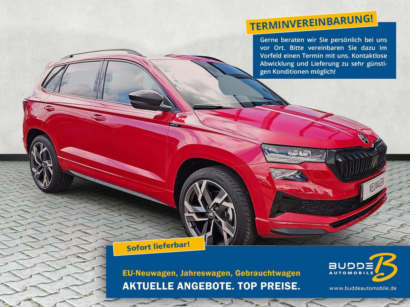 Fahrzeugbild eines Skoda Karoq