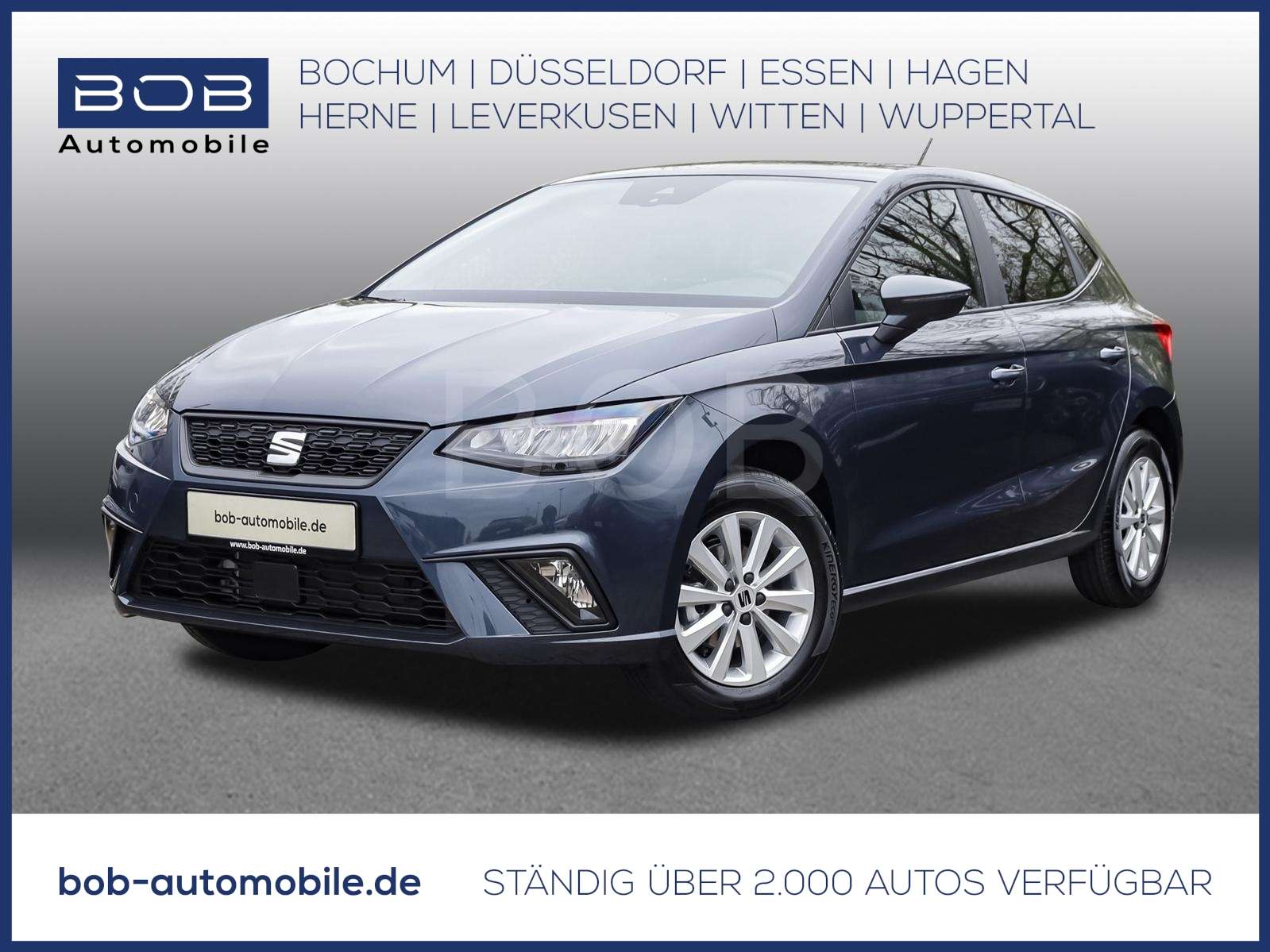 Fahrzeugbild eines SEAT Ibiza