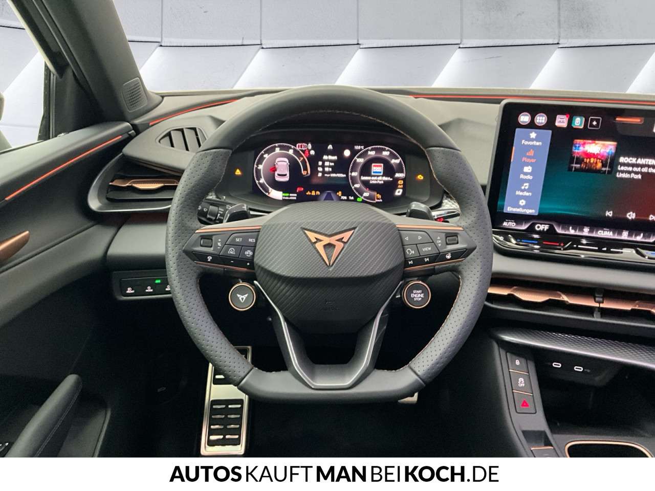 Fahrzeugbild eines CUPRA Terramar