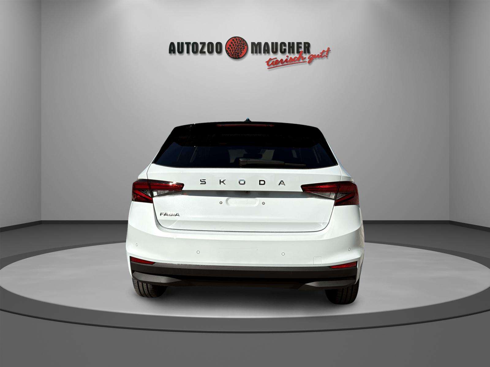 Fahrzeugbild eines Skoda Fabia