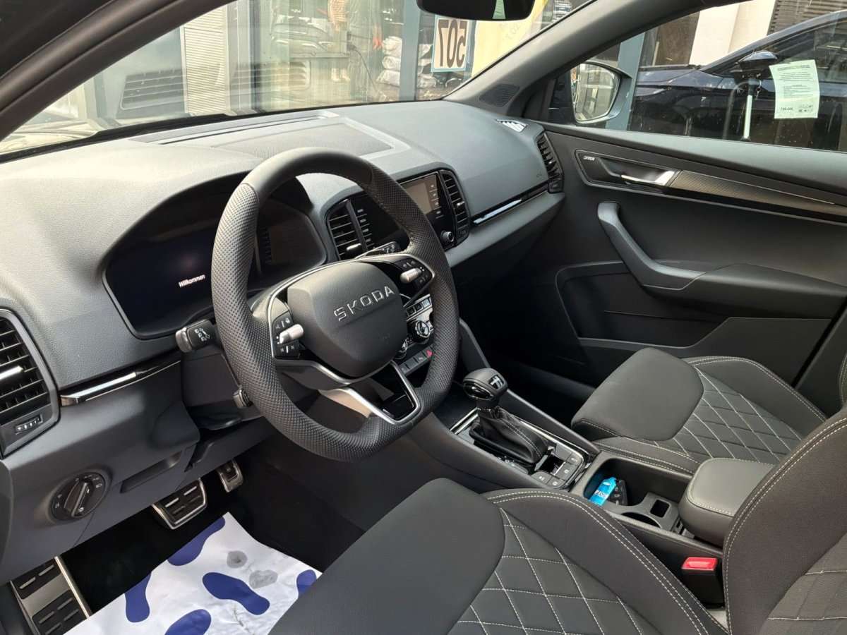 Fahrzeugbild eines Skoda Karoq