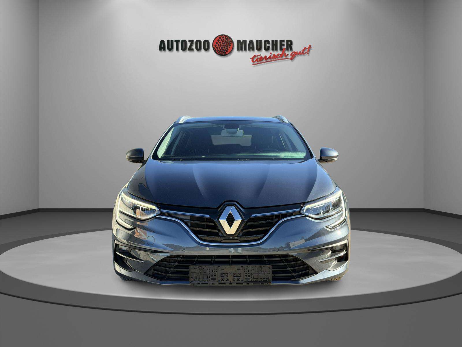 Fahrzeugbild eines Renault Mégane