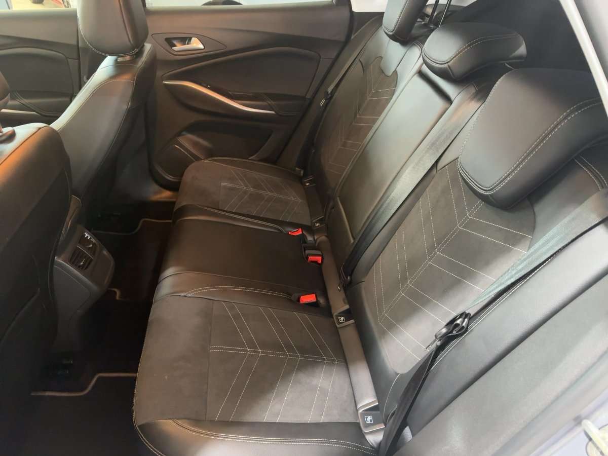 Fahrzeugbild eines Opel Grandland X