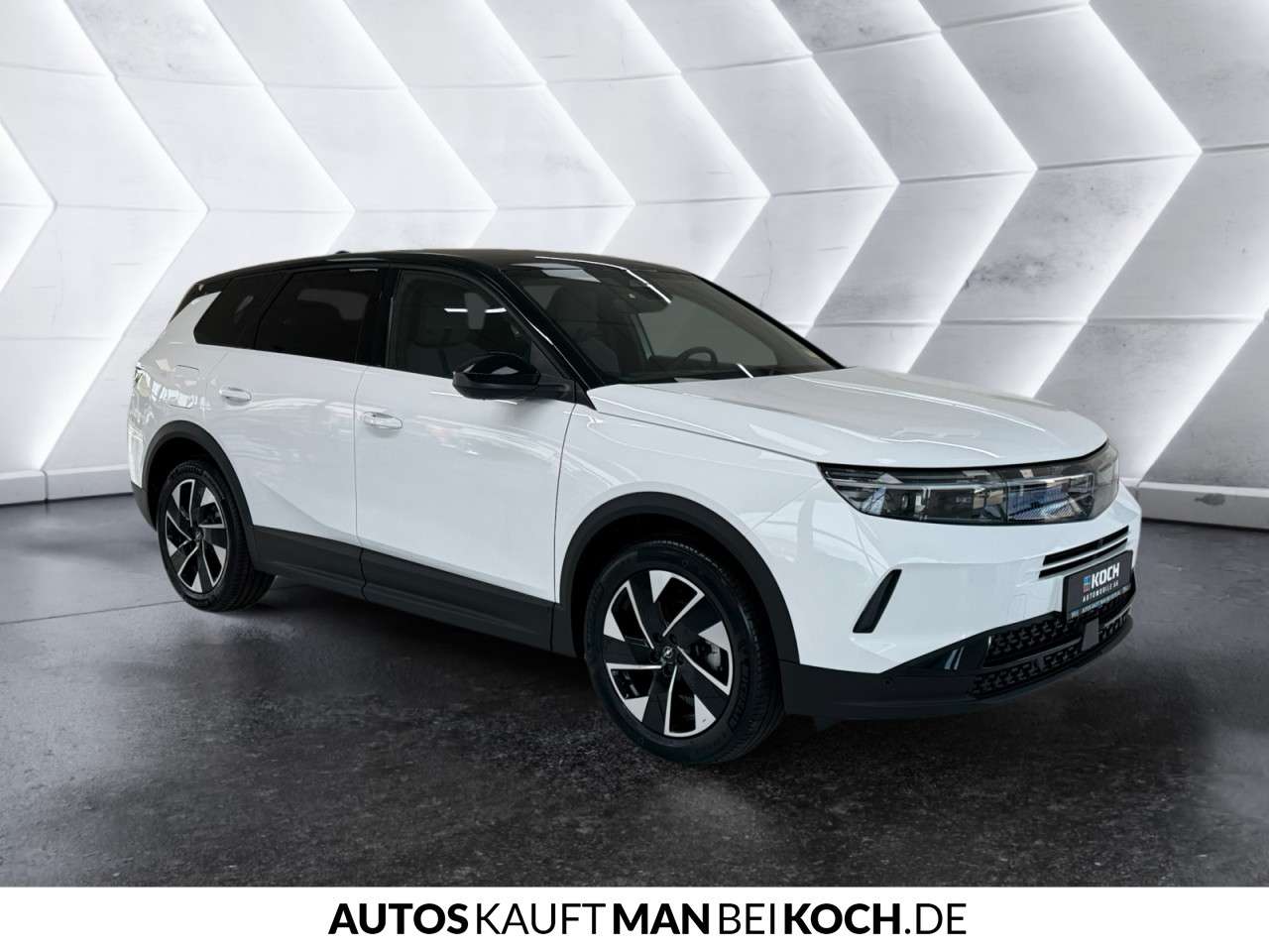Fahrzeugbild eines Opel Grandland X