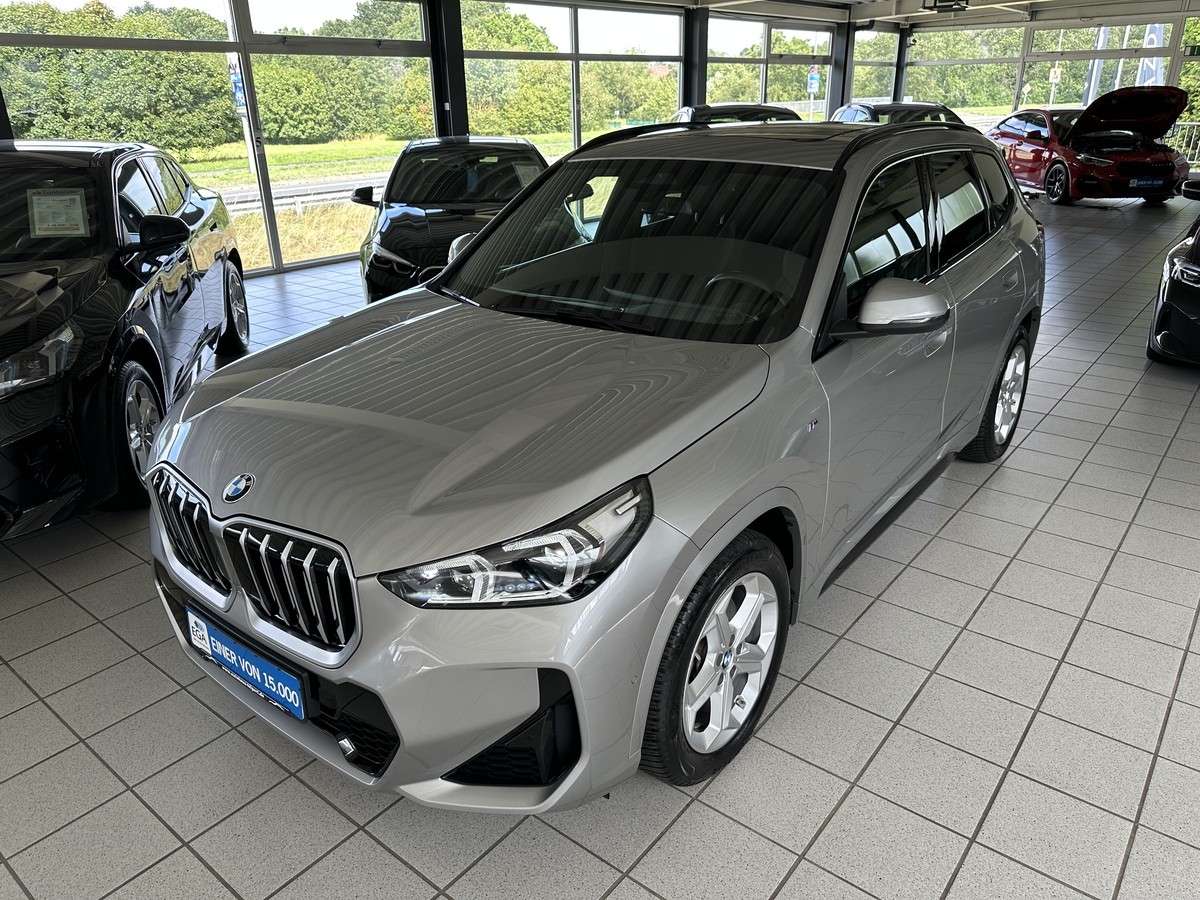 Fahrzeugbild eines BMW X1