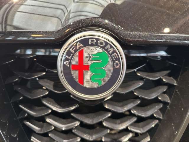 Fahrzeugbild eines Alfa Romeo Stelvio