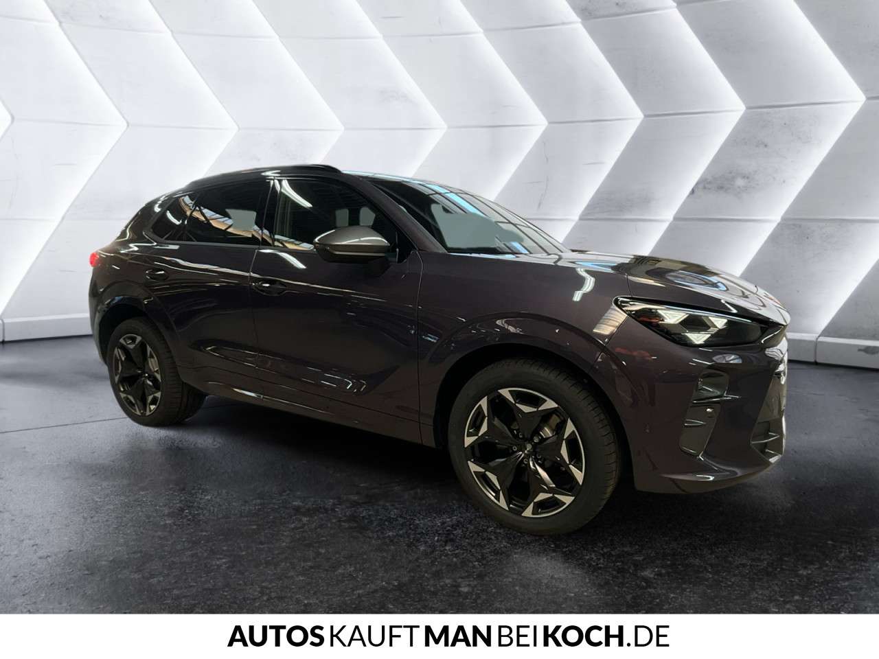 Fahrzeugbild eines CUPRA Terramar