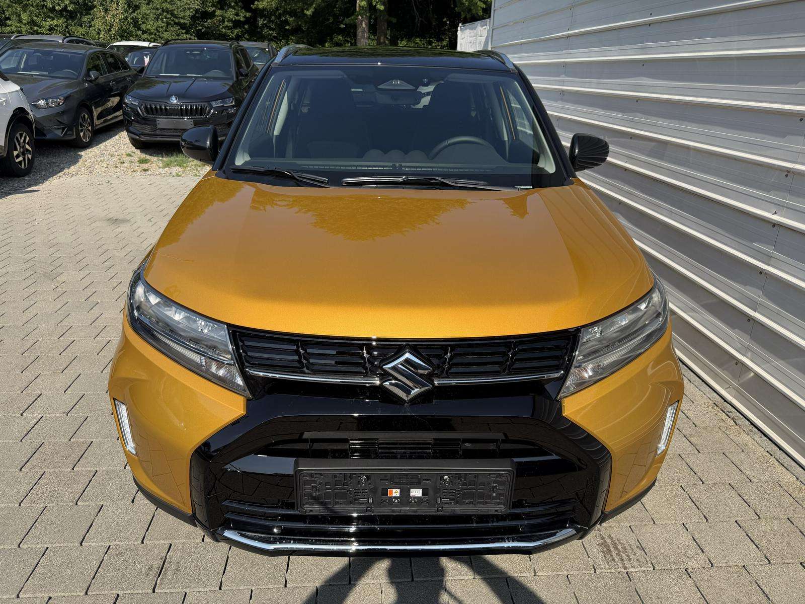Fahrzeugbild eines Suzuki Vitara