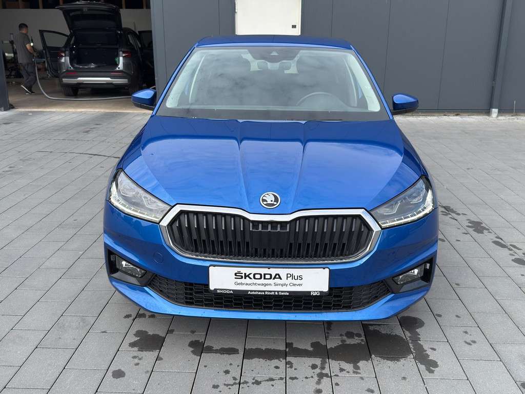 Fahrzeugbild eines Skoda Fabia