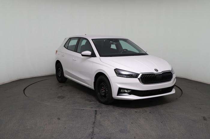 Fahrzeugbild eines Skoda Fabia