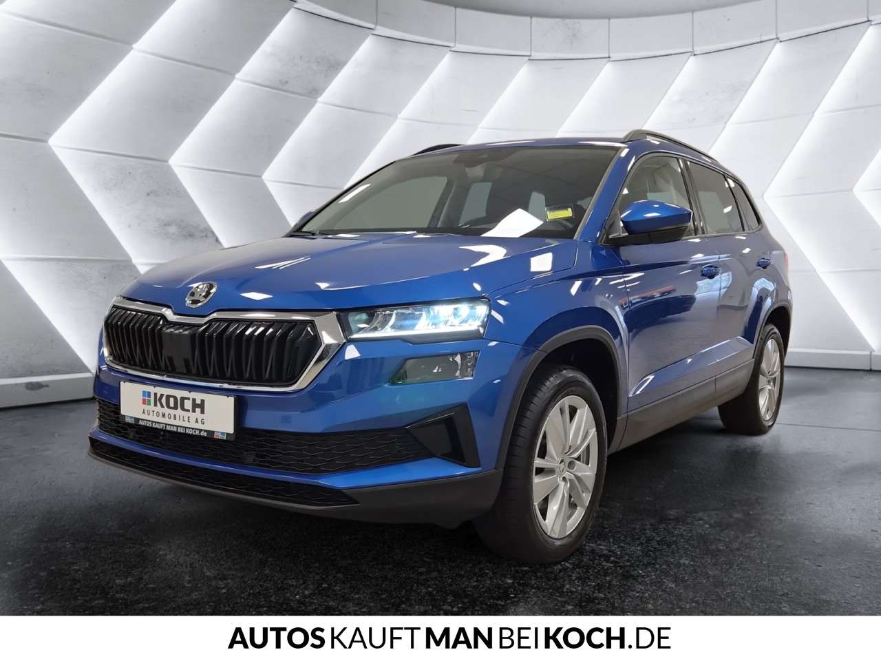 Fahrzeugbild eines Skoda Karoq