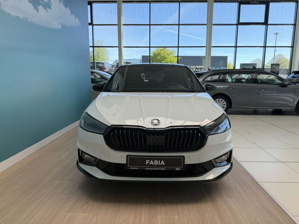 Fahrzeugbild eines Skoda Fabia