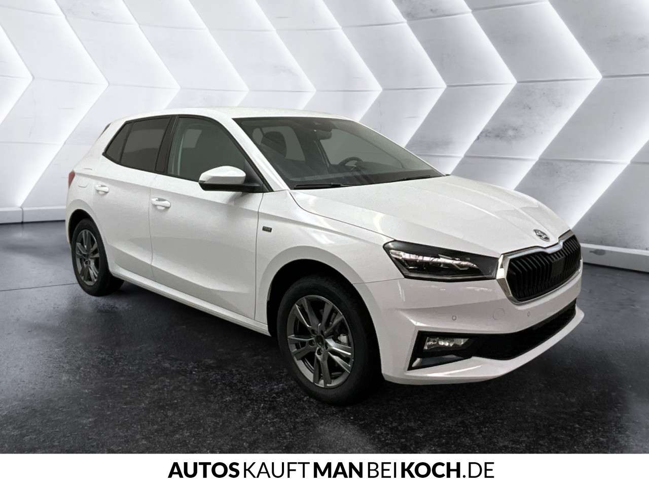 Fahrzeugbild eines Skoda Fabia