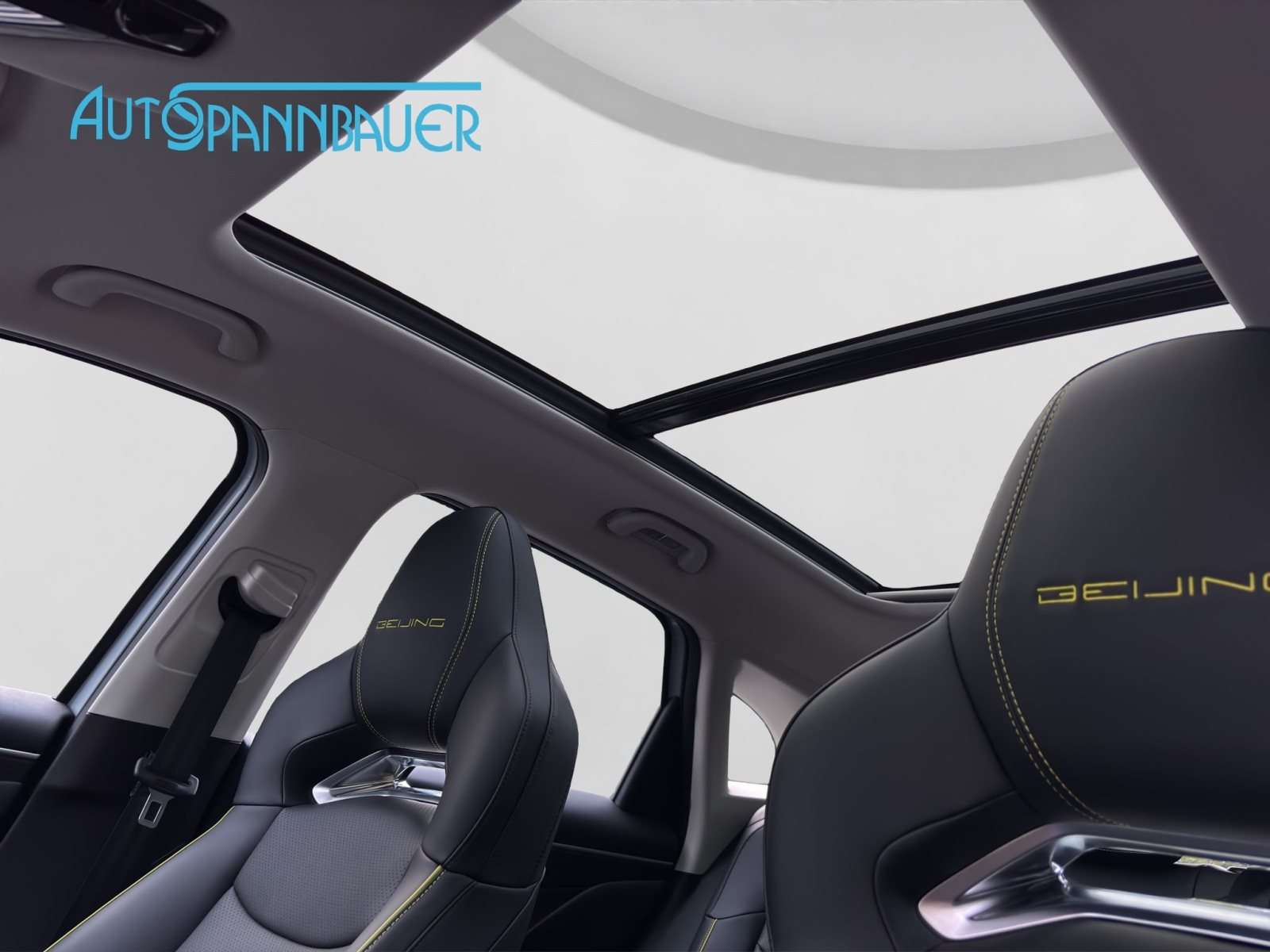 Fahrzeugbild eines BAIC X55