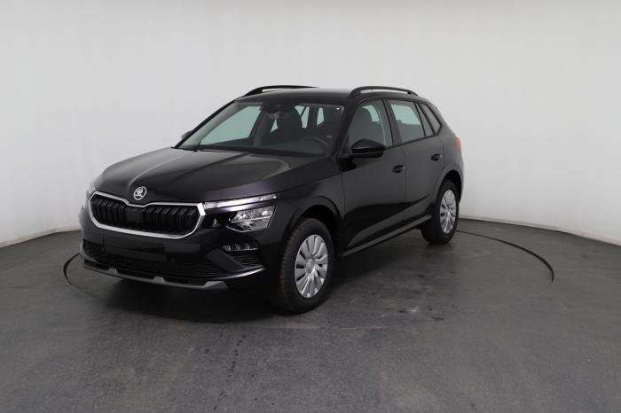 Fahrzeugbild eines Skoda Kamiq